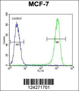 Anti-BCL10 Rabbit Polyclonal Antibody (AP (Alkaline Phosphatase))