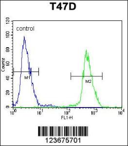 Anti-NUP210 Rabbit Polyclonal Antibody (PE (Phycoerythrin))