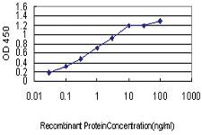 Anti-CPSF3 Mouse Monoclonal Antibody [clone: 6E6]