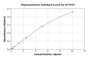 Representative standard curve for Human P2X1 ELISA kit (A77076)