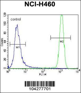 Anti-USP6 Rabbit Polyclonal Antibody (APC (Allophycocyanin))