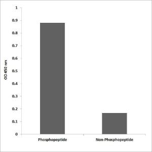 ELISA for immunogen phosphopeptide (left) and non-phosphopeptide (right) using Anti-Caspase 9 (phospho Thr125) Antibody