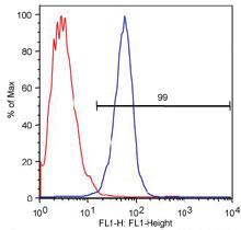 Anti-ABCA1 Rat Monoclonal Antibody [clone: 5A1-1422.11]