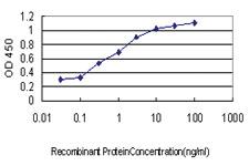 Anti-MCHR1 Mouse Monoclonal Antibody [clone: 3D7]