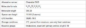 DTBP (Dimethyl 3,3′-dithiopropionimidate dihydrochloride), Pierce™