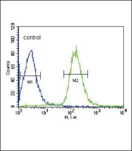 Anti-ALB Rabbit Polyclonal Antibody