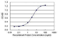 Anti-HSPB7 Mouse Monoclonal Antibody [clone: 1G12]