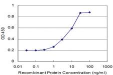 Anti-POLD4 Mouse Monoclonal Antibody [clone: 2C11]