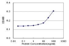 Anti-APOA1 Antibody Pair