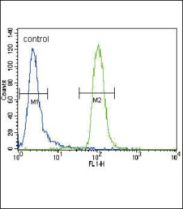 Anti-MUSK Rabbit Polyclonal Antibody (PE (Phycoerythrin))