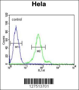 Anti-DDX47 Rabbit Polyclonal Antibody (FITC (Fluorescein Isothiocyanate))