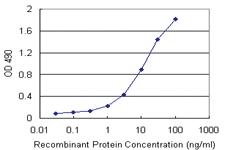 Anti-APOA1 Polyclonal Antibody Pair