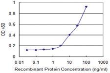 Anti-SSR2 Mouse Monoclonal Antibody [clone: 4C1]