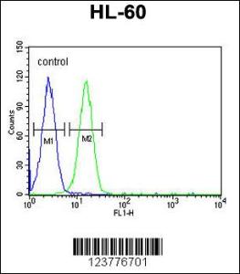 Anti-EMX2 Rabbit Polyclonal Antibody (APC (Allophycocyanin))