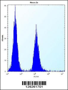 Anti-VASH2 Rabbit Polyclonal Antibody