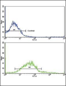 Anti-ADH5 Rabbit Polyclonal Antibody