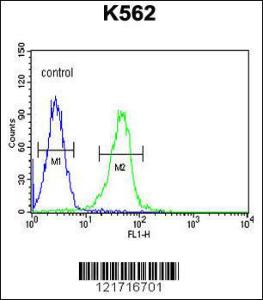 Anti-KCNJ6 Rabbit Polyclonal Antibody (PE (Phycoerythrin))