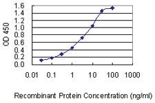 Anti-DSG4 Mouse Monoclonal Antibody [clone: 6E7]