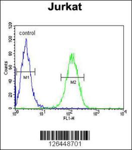 Anti-UTP6 Rabbit Polyclonal Antibody