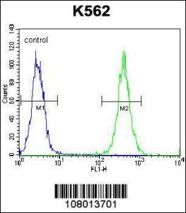 Anti-AGO2 Rabbit Polyclonal Antibody (FITC (Fluorescein Isothiocyanate))