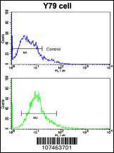 Anti-BECN1 Rabbit Polyclonal Antibody (Biotin)