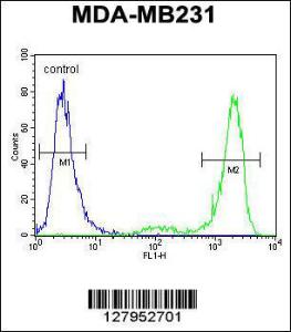 Anti-KCNT2 Rabbit Polyclonal Antibody (FITC (Fluorescein Isothiocyanate))