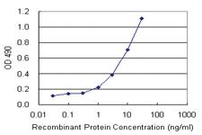 Anti-APOA2 Antibody Pair