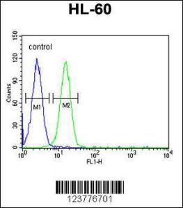 Anti-EMX2 Rabbit Polyclonal Antibody (PE (Phycoerythrin))