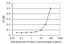 Anti-APOA2 Mouse Monoclonal Antibody (Biotin)