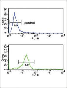 Anti-OPRM1 Rabbit Polyclonal Antibody