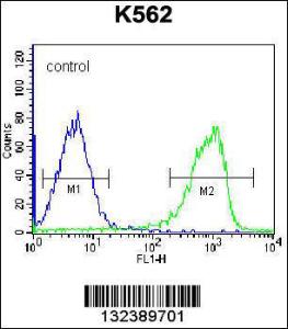 Anti-ZNF623 Rabbit Polyclonal Antibody (PE (Phycoerythrin))