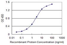 Anti-VASH1 Mouse Monoclonal Antibody [clone: 4A3]