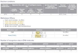 FERMFD2144 - ENZYME FD FOKI 100µL (100RXN)