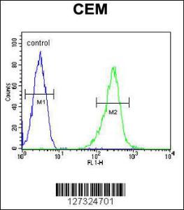 Anti-KCNV1 Rabbit Polyclonal Antibody