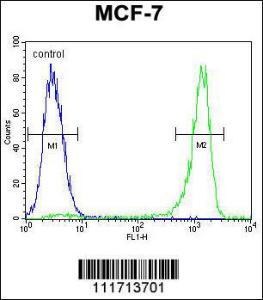 Anti-VEGFC Rabbit Polyclonal Antibody (AP (Alkaline Phosphatase))