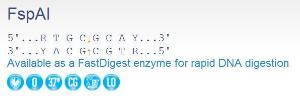 FERMER1662 - ENZYME FSPAI 500 UNITS