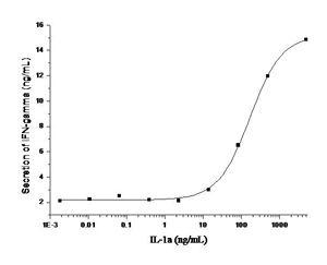 Recombinant Human IL-1 alpha Protein