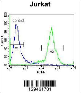 Anti-ZNF648 Rabbit Polyclonal Antibody