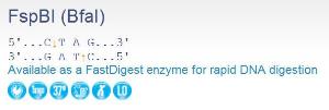 FERMER1762 - ENZYME FSPBI 2500 UNITS