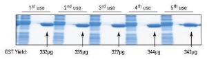 Glutathione spin columns, Pierce™