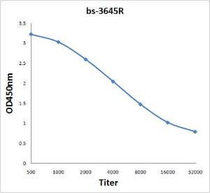 Anti-MAGEA4 Rabbit Polyclonal Antibody