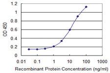 Anti-CD24 Mouse Monoclonal Antibody [clone: 1C4]