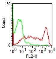 Flow cytometric analysis of human PBMCs using Anti-CD45RO Antibody [UCHL-1]