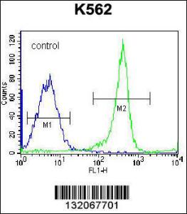 Anti-EIF3CL Rabbit Polyclonal Antibody (FITC (Fluorescein Isothiocyanate))