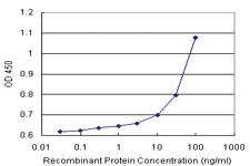 Anti-RBP4 Polyclonal Antibody Pair