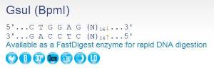 FERMER0461 - ENZYME GSUI 100 UNITS