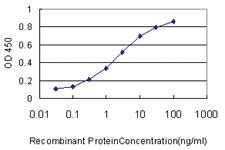 Anti-HAMP Mouse Monoclonal Antibody [clone: 1F9]