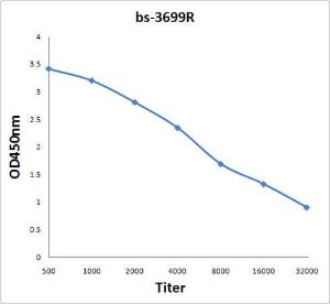 Anti-GPR15 Rabbit Polyclonal Antibody