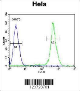 Anti-EBP Rabbit Polyclonal Antibody (HRP (Horseradish Peroxidase))