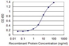 Anti-GRID1 Mouse Monoclonal Antibody [clone: 3A8]